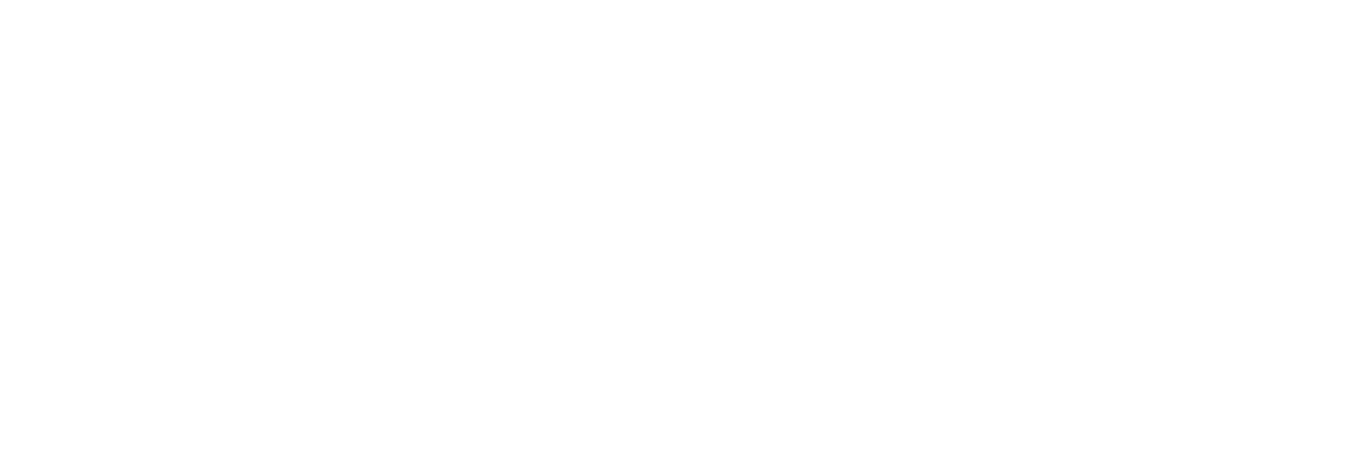 carls jr